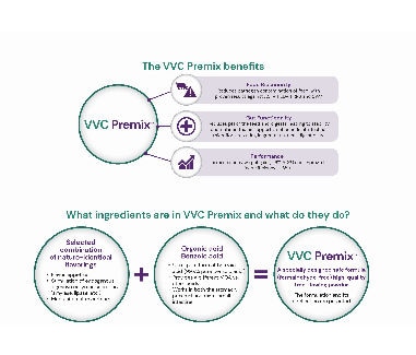 VVC Premix download page