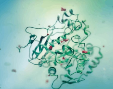 dsm-firmenich Receives FDA Approval of First U.S. Mycotoxin Degrading Ingredient for Poultry