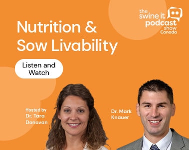 Swine It Podcast: Dr. Mark Knauer - Nutrition and sow livability