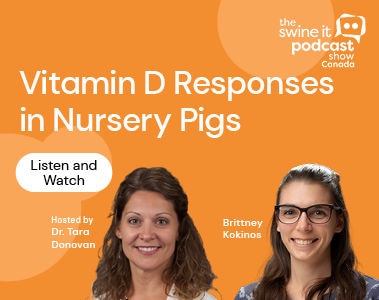 Swine It Podcast: Dr. Han Stein - Calcium and Phosphorus Requirements for Gilts and Sows