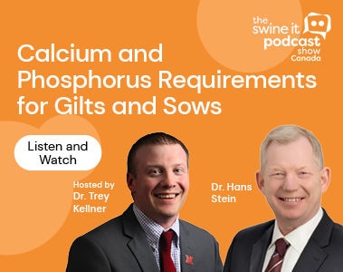 Swine It Podcast: Dr. Han Stein - Calcium and Phosphorus Requirements for Gilts and Sows