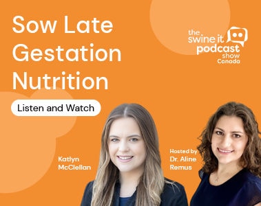 Swine It Podcast: Katlyn McClellan: Sow Late Gestation Nutrition
