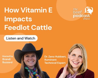 The Beef Podcast: Dr. Zeno Hubbert - How Vitamin E Impacts Feedlot Cattle