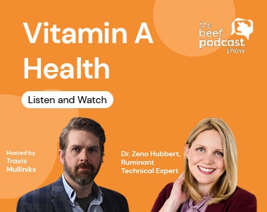 The Beef Podcast: Dr Zeno Hubbert - Vitamin A in Beef Cattle Nutrition