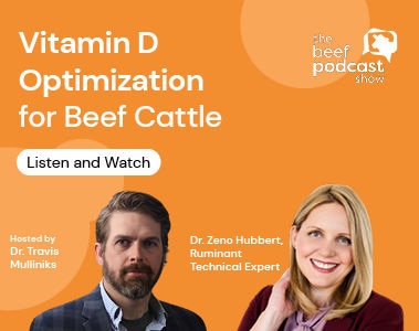 The Beef Podcast: Dr. Zeno Hubbert - Vitamin D Optimization for Beef Cattle