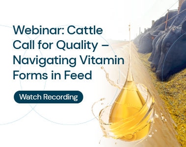 Webinar: Cattle Call for Quality - Navigating Vitamin Forms in Feed
