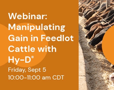Webinar: Manipulating Gain in Feedlot Cattle with Hy-D®