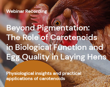 Webinar Recording: Beyond Pigmentation - The Role of Carotenoids in Biological Function and Egg Quality in Laying Hens