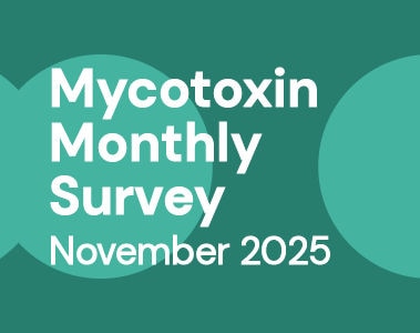 Mycotoxin Survey Monthly Update: November 2025