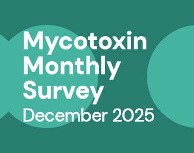 Mycotoxin Survey Monthly Update: December 2025