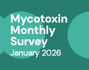 Mycotoxin Survey Monthly Update: January 2026