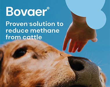 The solution for methane reduction: Bovaer® reduces methane emissions  in dairy cows by 30% and in beef cattle by 45%, on average