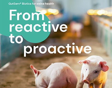 GutServ® Biotics for swine health