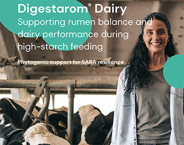 Digestarom® Dairy: Supporting rumen balance and dairy performance during high-starch feeding