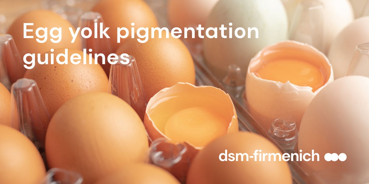 dsm-firmenich Egg Yolk Pigmentation Guidelines PDF