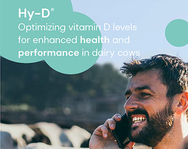Improve dairy cow health and milk performance with optimized vitamin D levels
