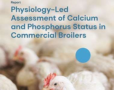 Optimize Calcium & Phosphorus with Physiology‑Led Insight