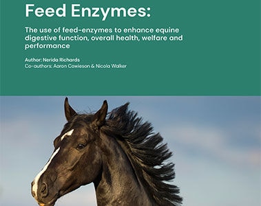 The use of feed-enzymes to enhance equine digestive function, overall health, welfare and performance [white paper]