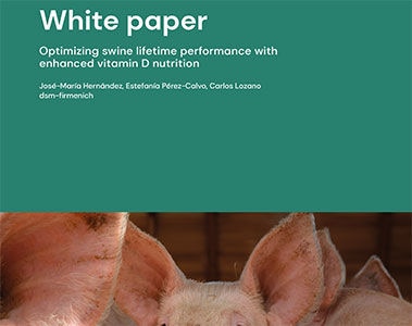 Optimizing swine lifetime performance with enhanced vitamin D nutrition