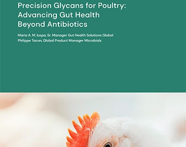 Precision Glycans for Poultry: Advancing Gut Health Beyond Antibiotics [white paper]