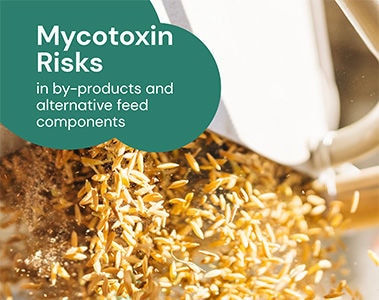 Download the dsm-firmenich Feed By-product Mycotoxin Survey 2026