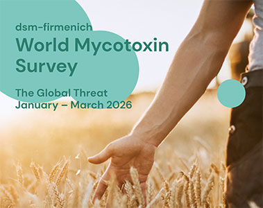 Download the dsm-firmenich World Mycotoxin Survey January to March 2026