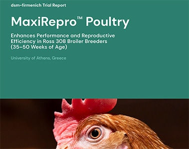Trial Report: MaxiRepro™ Poultry