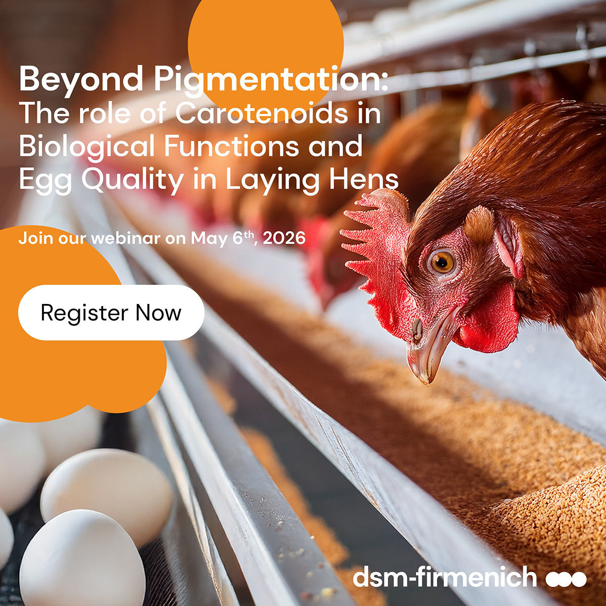 Webinar: Beyond Pigmentation: The Role of Carotenoids in Biological Function and Egg Quality in Laying Hens