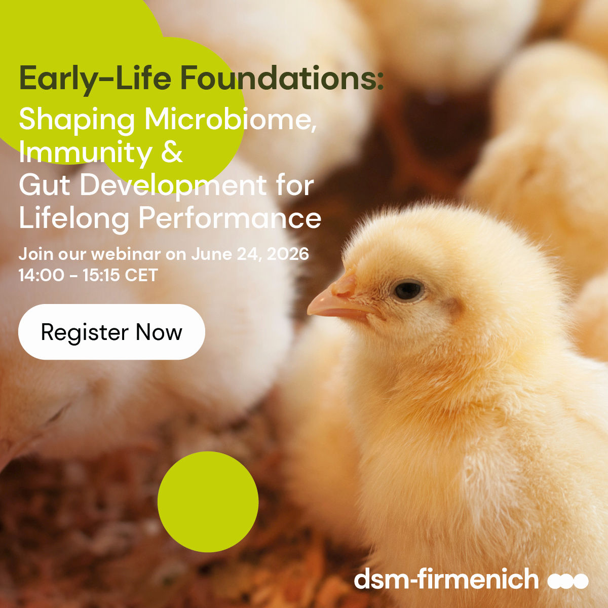 Webinar: Early-Life Foundations: Shaping Microbiome, Immunity & Gut Development for Lifelong Performance