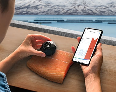 Digital SalmoFan™: Revolutionizing Salmon Fillet Color Measurement for a Transparent Seafood Industry
