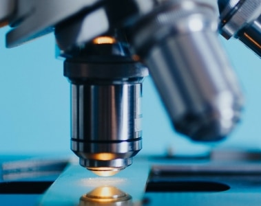 Eubiotics: Definition and different concepts