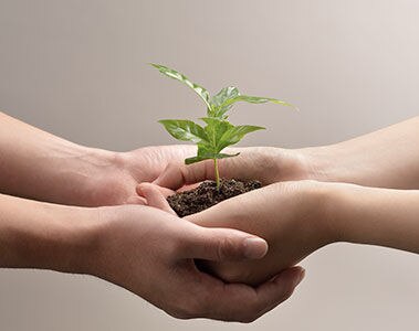 Measuring environmental footprint of agricultural enterprises