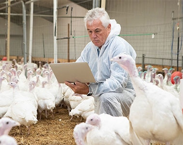 The Transformation of Animal Health