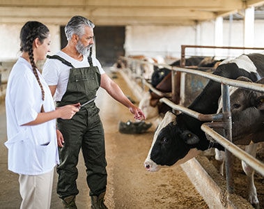 Think different: farm profit is in input cost control not price