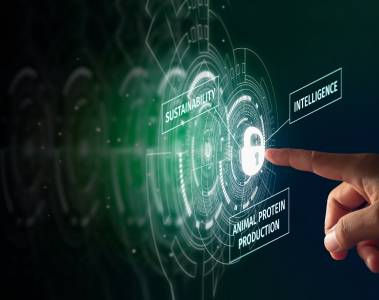 Unlocking Protein’s Full Potential Profitably