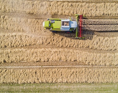 What can we learn from grain price cycles?