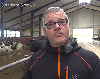 Digestarom® Dairy: Managing Heat Stress in Dairy Cows | Farmer Perspective Sweden