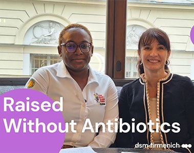 Raised Without Antibiotics: Jamaica Broilers Group Interview