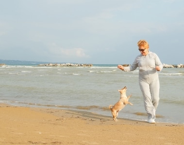 DHAgold supports cognitive function in older dogs