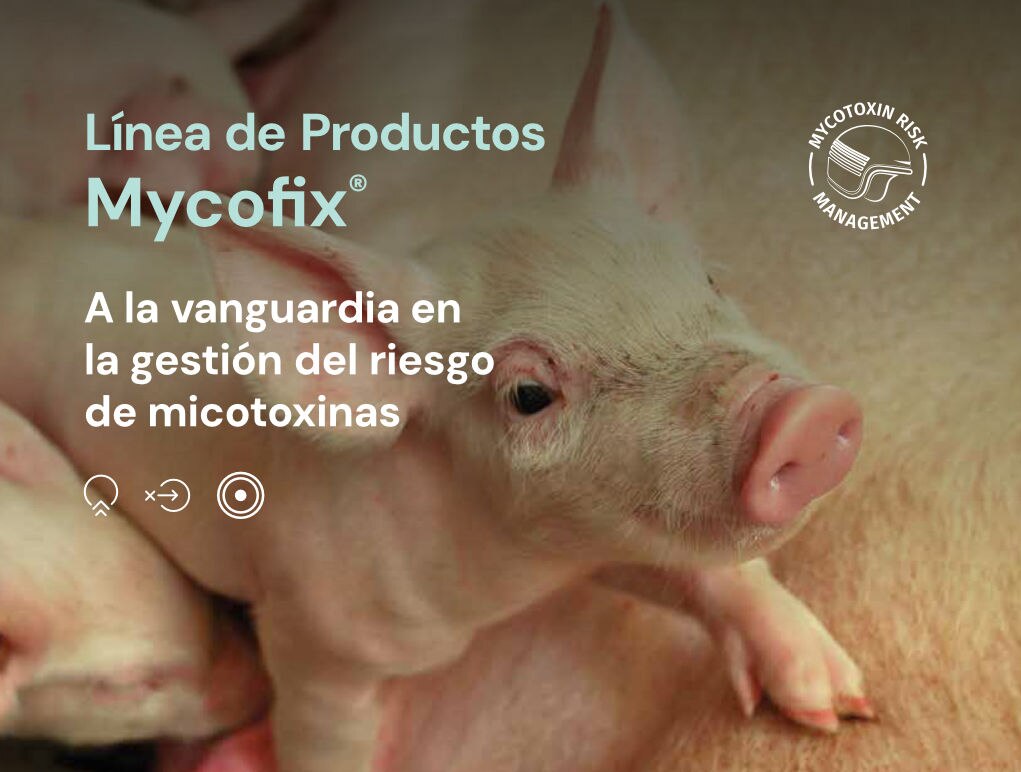 Línea de Productos Mycofix® - A la vanguardia en la gestión del riesgo de micotoxinas