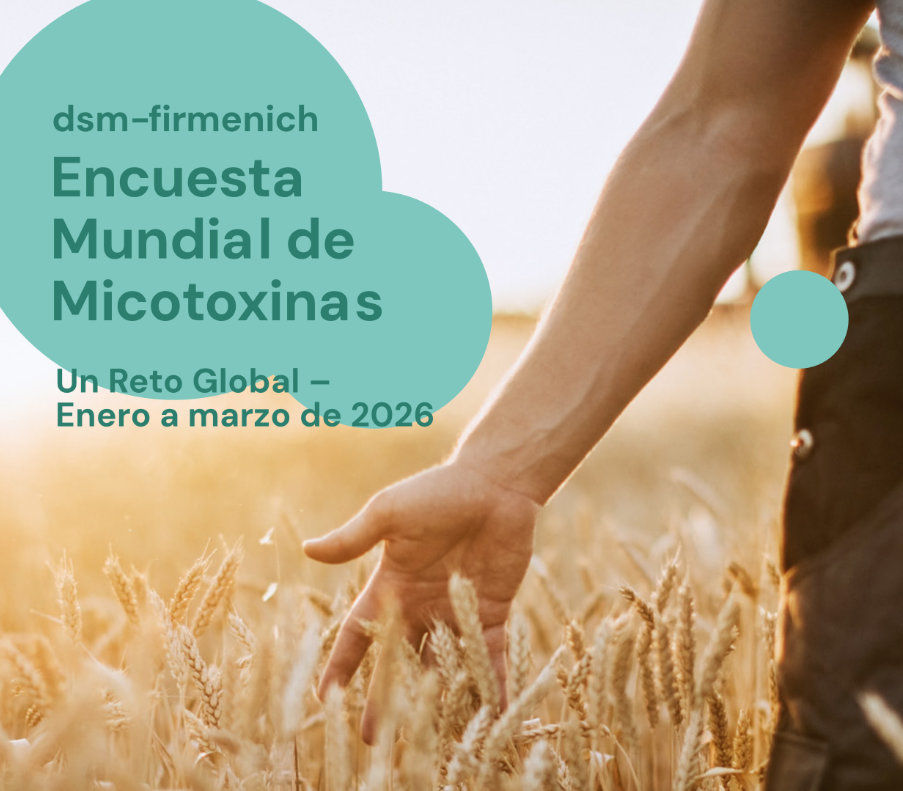 Descargue la Encuesta Mundial de Micotoxinas | Enero -  Marzo 2026