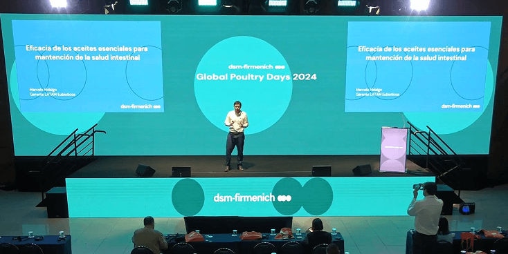 Eficácia dos óleos essenciais para a manutenção da saúde intestinal