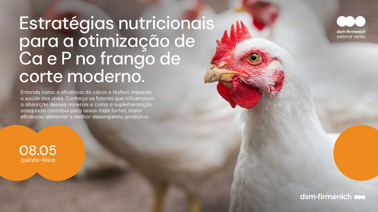 Webinar: Estratégias nutricionais para a otimização de Ca e P no frango de corte moderno