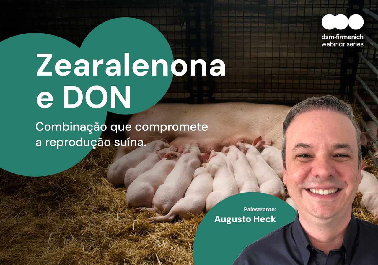 Webinar: Zearalenona (ZEA) e DON com foco nos impactos na reprodução suína