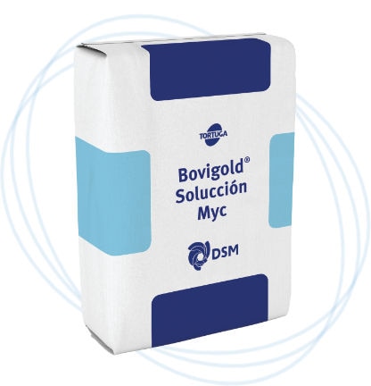 Bovigold® Solucción Myc