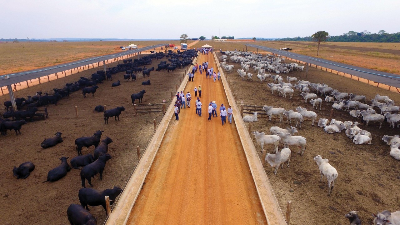 Aliando produtividade e lucro, PSLM Agropecuária S/A mostrou excelentes resultados em 2016