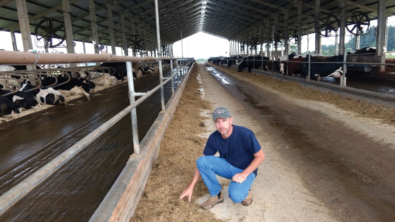 Em Carambeí (PR), a Fazenda Vale do Jotuva se destaca na produção de leite