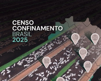 Censo Confinamento Brasil 2025 - Completo