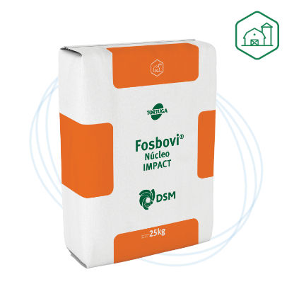 Fosbovi® Núcleo Impact