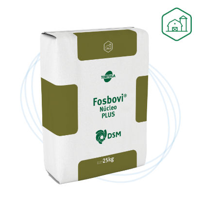Fosbovi® Núcleo PLUS